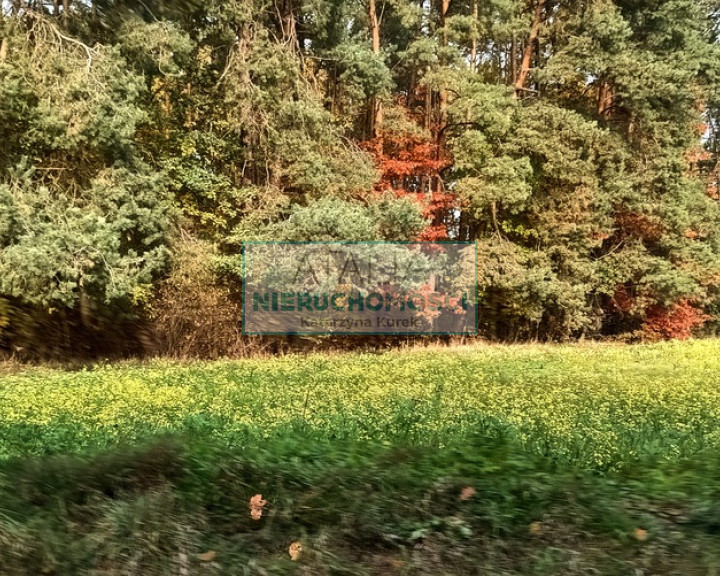Działka Sprzedaż Słubica A