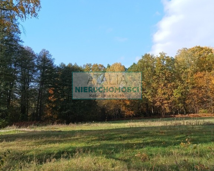 Działka Sprzedaż Słubica A