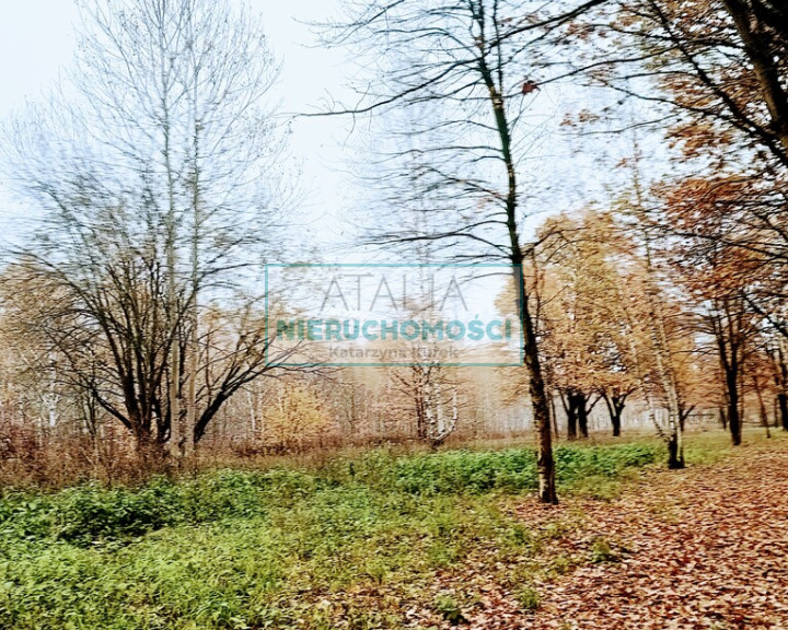Działka Sprzedaż Milanówek