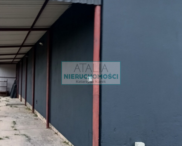 Obiekt Wynajem Musuły