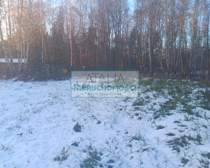 Dom Sprzedaż Osowiec