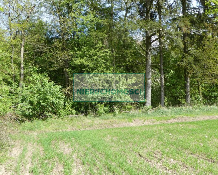 Działka Sprzedaż Pieńki Zarębskie