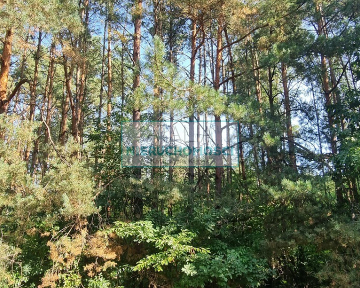 Działka Sprzedaż Prace Duże