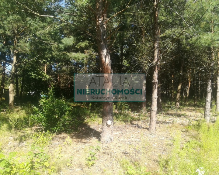 Działka Sprzedaż Mieszkowo