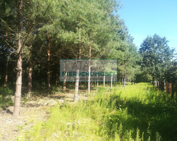 Działka Sprzedaż Mieszkowo