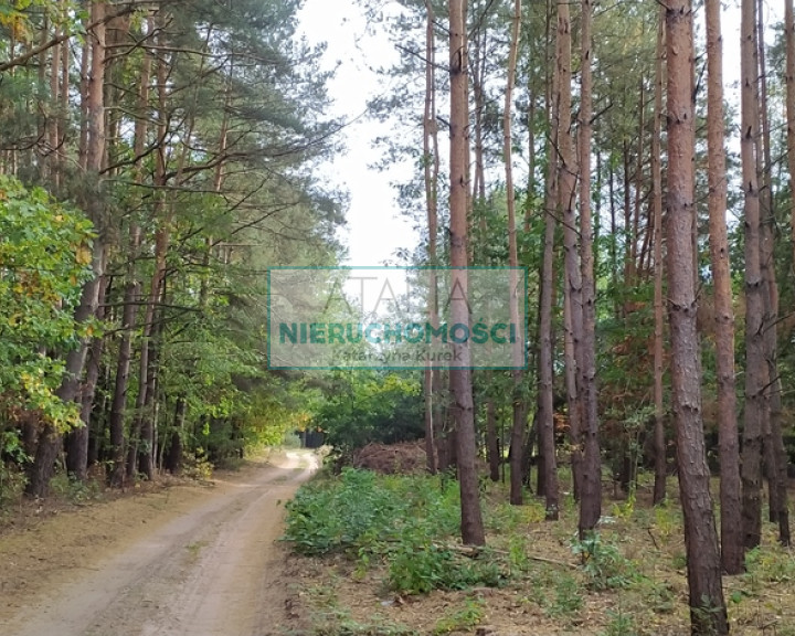 Działka Sprzedaż Kuklówka Zarzeczna