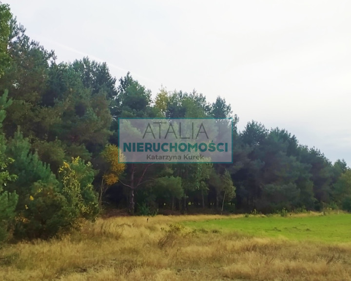 Działka Sprzedaż Kuklówka Zarzeczna