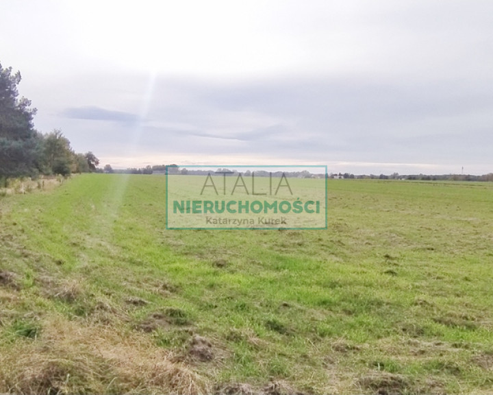 Działka Sprzedaż Kuklówka Zarzeczna