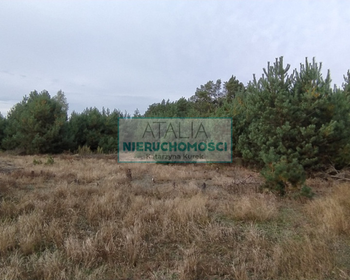 Działka Sprzedaż Kuklówka Zarzeczna