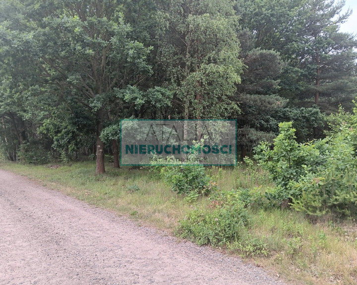 Działka Sprzedaż Budy-Grzybek