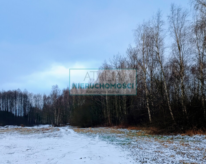 Działka Sprzedaż Nowa Bukówka
