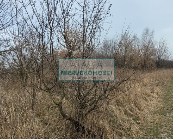 Działka Sprzedaż Kotowice