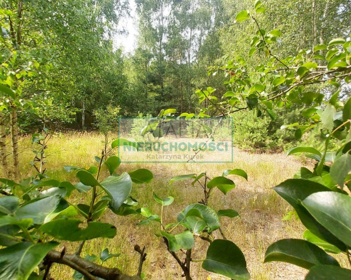 Działka Sprzedaż Jaktorów