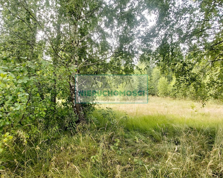 Działka Sprzedaż Jaktorów