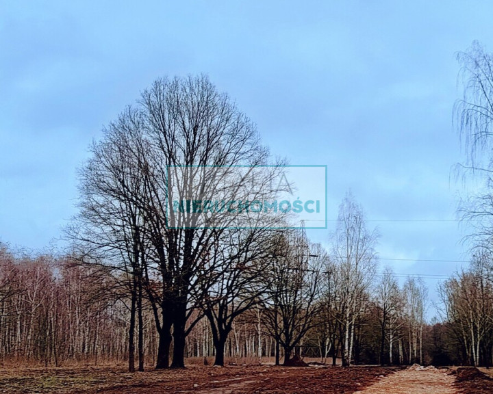 Działka Sprzedaż Milanówek