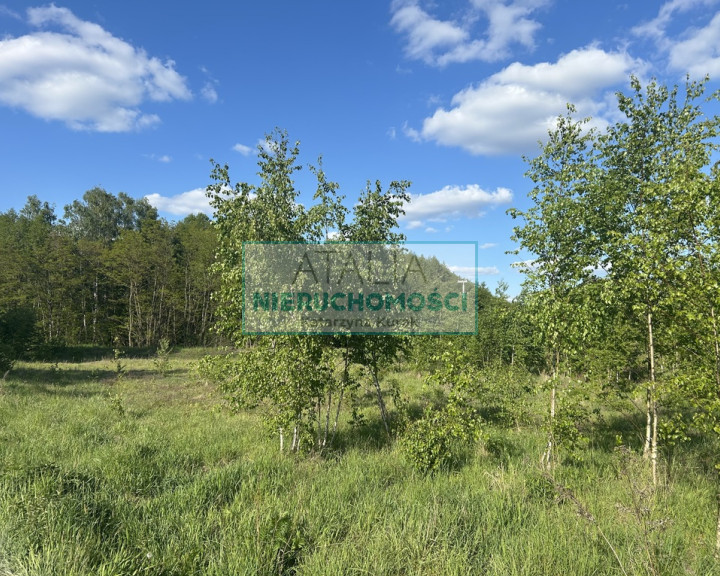 Działka Sprzedaż Jaktorów