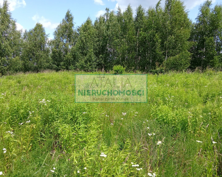 Działka Sprzedaż Oddział