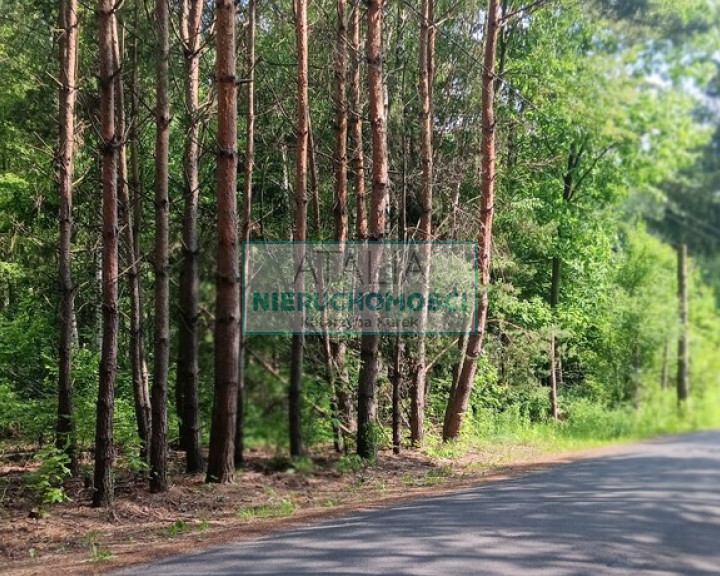 Działka Sprzedaż Opypy