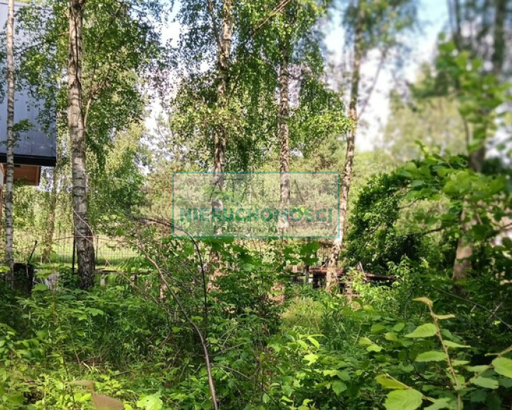 Działka Sprzedaż Opypy