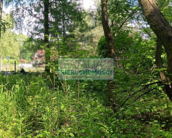 Działka Sprzedaż Opypy