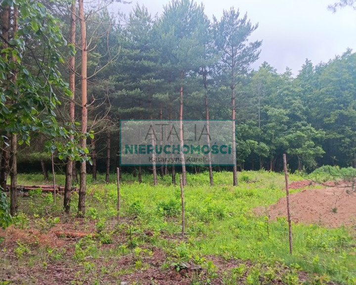 Dom Sprzedaż Budy-Grzybek