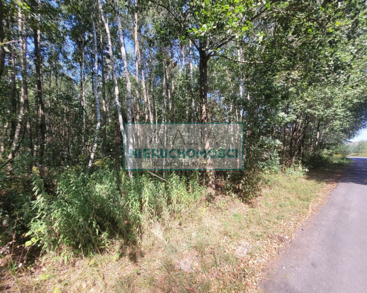 Działka Sprzedaż Kałęczyn