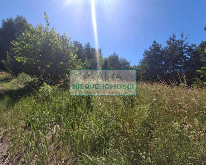 Działka Sprzedaż Budy-Grzybek