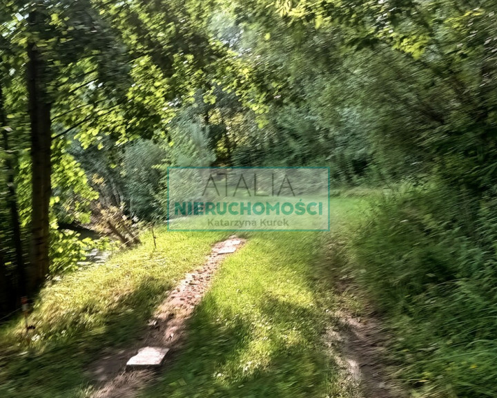 Działka Sprzedaż Kozerki