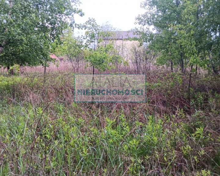 Działka Sprzedaż Międzyborów