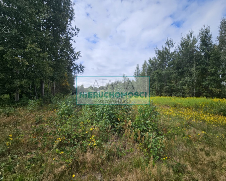 Działka Sprzedaż Czarny Las