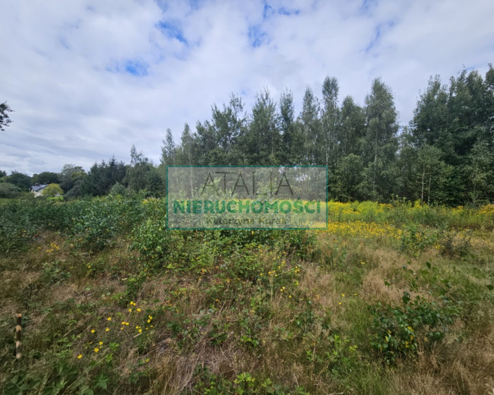 Działka Sprzedaż Czarny Las