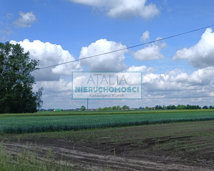 Działka Sprzedaż Milęcin
