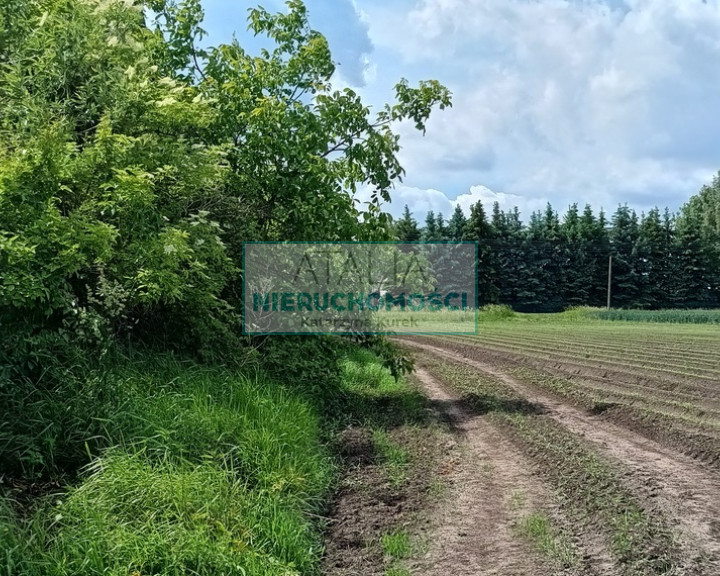 Działka Sprzedaż Milęcin
