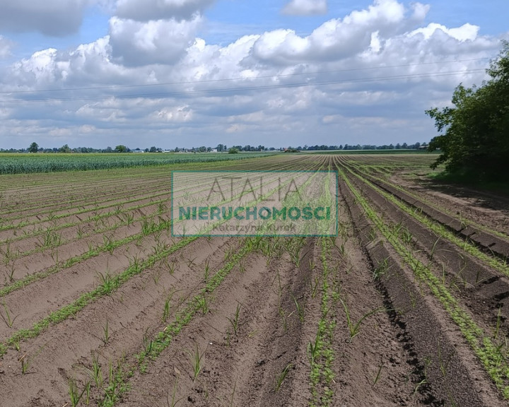 Działka Sprzedaż Milęcin