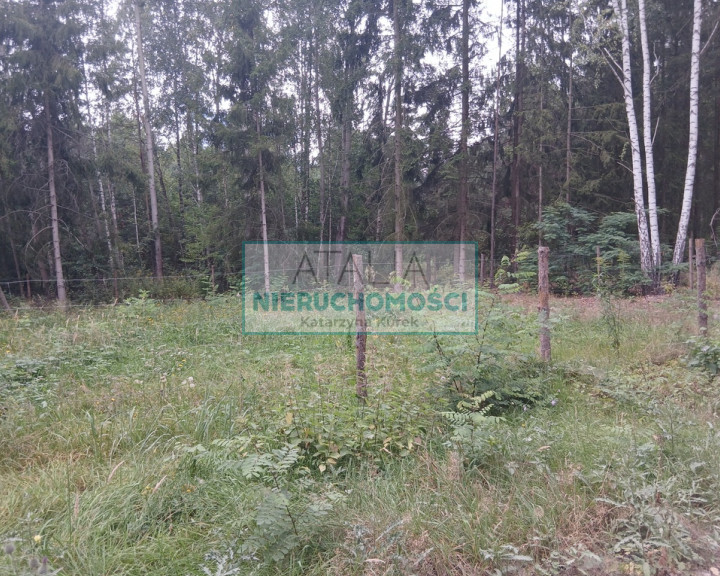 Działka Sprzedaż Ojrzanów