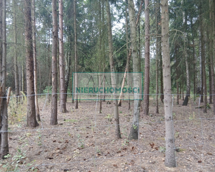 Działka Sprzedaż Ojrzanów