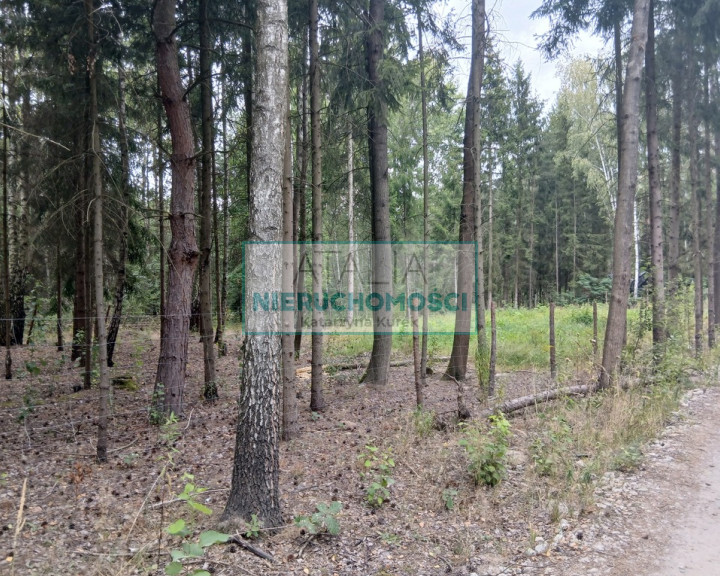 Działka Sprzedaż Ojrzanów