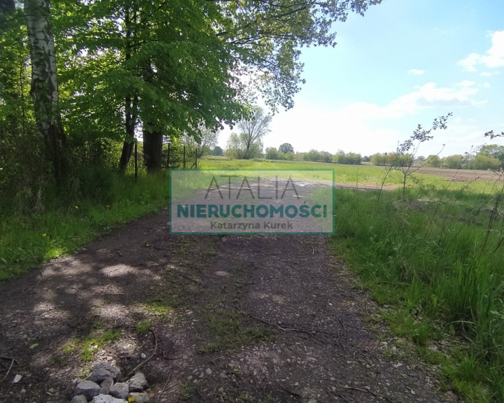 Działka Sprzedaż Chrzanów Mały