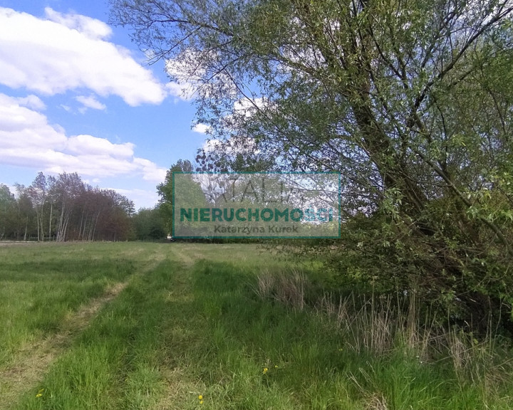 Działka Sprzedaż Chrzanów Mały