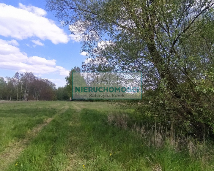 Działka Sprzedaż Chrzanów Mały