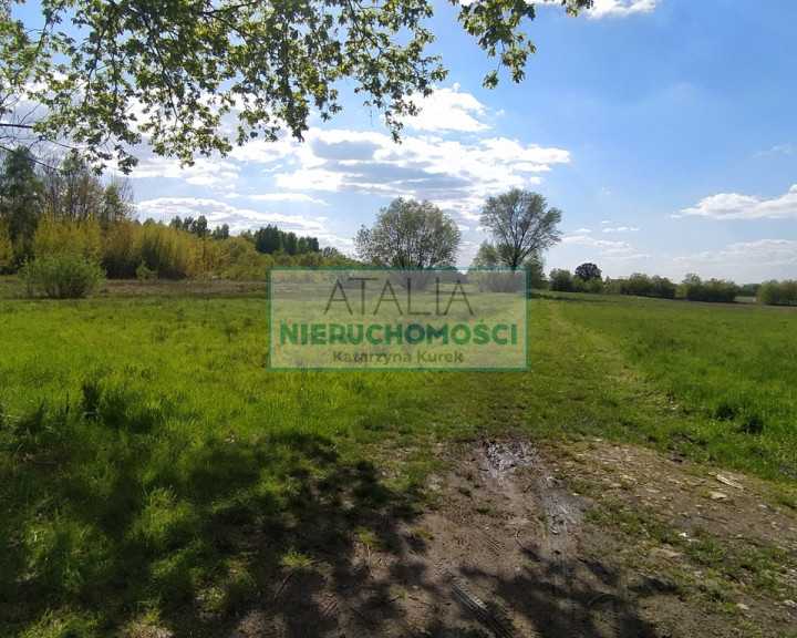 Działka Sprzedaż Chrzanów Mały