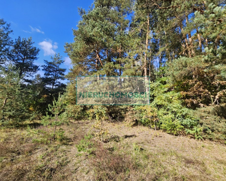 Działka Sprzedaż Strzeniówka