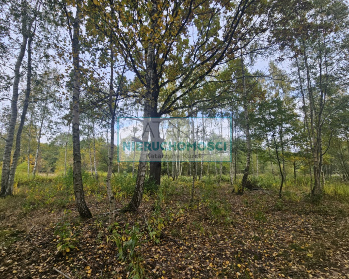 Działka Sprzedaż Radonie