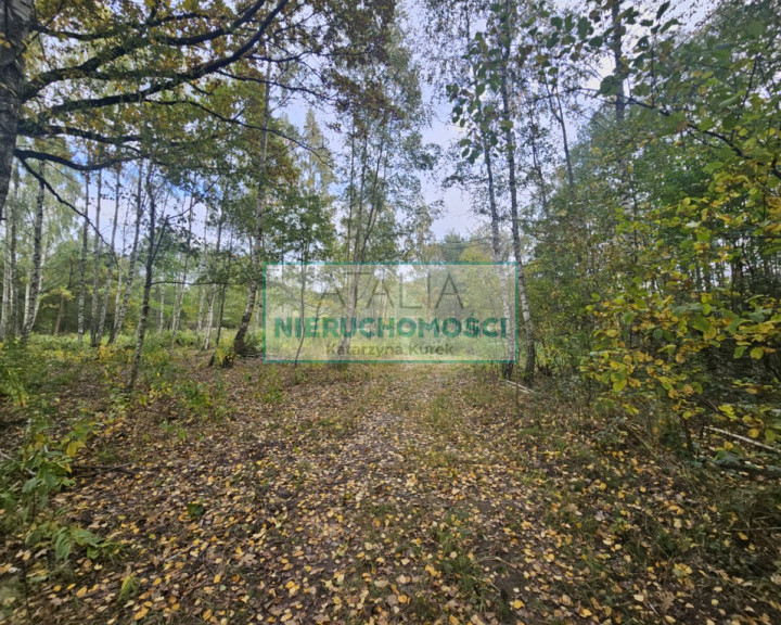 Działka Sprzedaż Radonie
