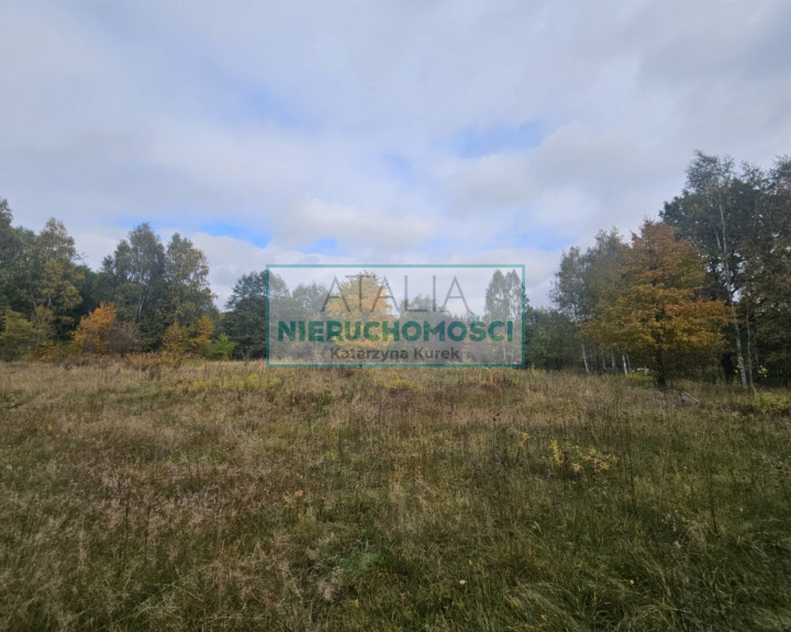 Działka Sprzedaż Radonie