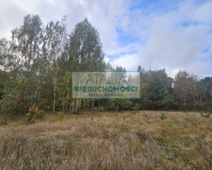 Działka Sprzedaż Radonie