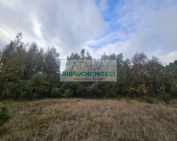 Działka Sprzedaż Radonie