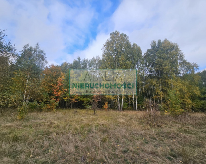 Działka Sprzedaż Radonie