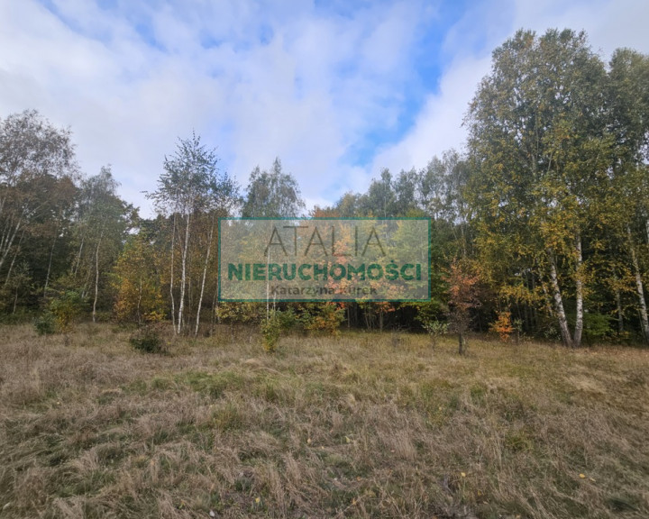 Działka Sprzedaż Radonie