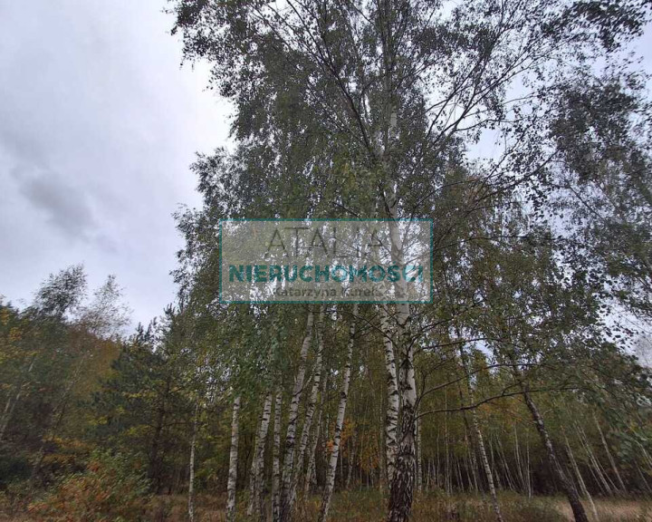 Działka Sprzedaż Radonie